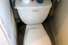 cleaned-toilet-2